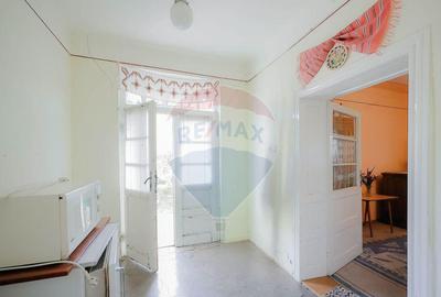 De vanzare casa cu teren de 3036 mp in Bor? - 8