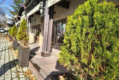 Proprietate mixta -spatiu comercial +rezidenta - 4