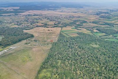 Teren Extravilan - 21