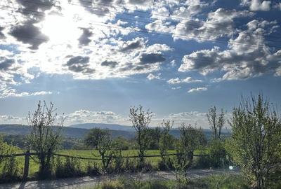 Spațiu comercial, în Dealu Mare - 1