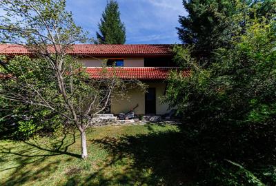 Hotel/Pensiune, de 35.294101715088 mp, în Poiana Mărului - 31