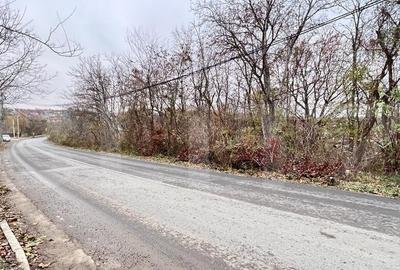 Teren, 1200mp, strada principala Barnova - 5