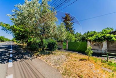 Casa cu 3 camere de vanzare in zona Gai, teren de 1249mp Casa cu 3 camere de vanzare in zona Gai, teren de 1249mp - 6