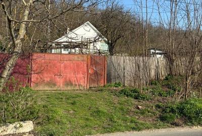 Casă cu 3 camere cu Teren 2000 Mp în Dealu Morii - 3