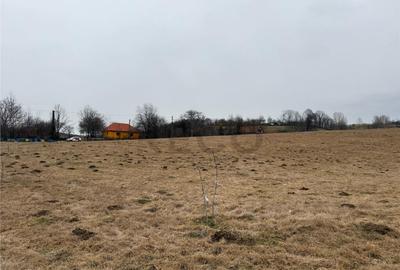 RECO , teren intravilan in Tomnatic, Vadu Crisului - 2