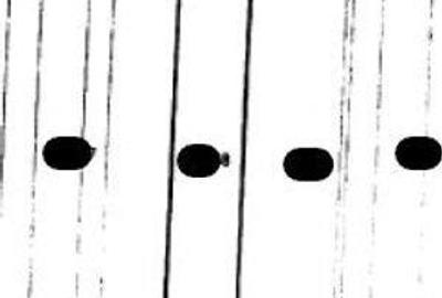 Teren de 14320 mp, în Măgura - 4