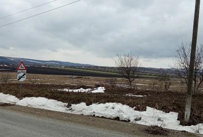 Teren Construcții intravilan de 800 mp, în Scânteia - 6