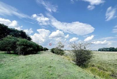 Teren de 22700 mp, în Hărman - 3