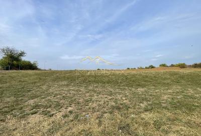 Teren Construcții intravilan de 15000 mp, în Snagov - 9