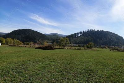 Teren de 934 mp, în Ghimbav Livadă - 3