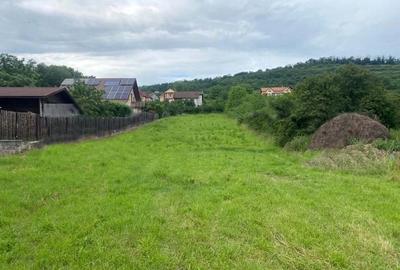 PROPRIETAR Vand teren intravilan 2600 mp pentru casa in localitatea Bardesti - 1