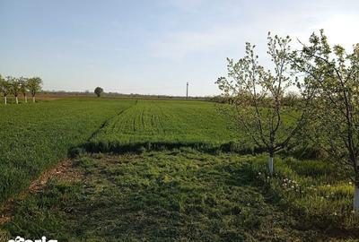 Casă cu 4 camere cu Teren 109 Mp în Leordeni - 4