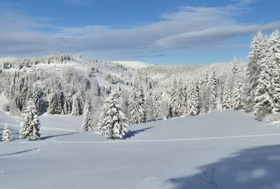 Casă cu 4 camere în Ocoale - 3