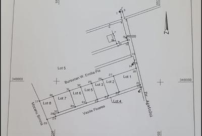Teren ideal pentru casa ta, Cartierului Padurea Baneasa - Strada Agatului - 3