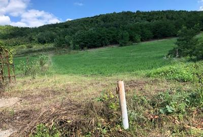 Locul perfect pentru casa ta de vis – teren la marginea orașului! - 4