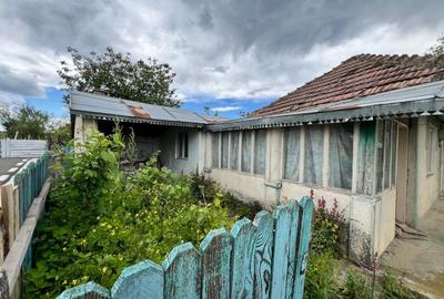 Casa + teren 4430 mp, vie si pomi fructiferi, 22 km de Tecuci - 24