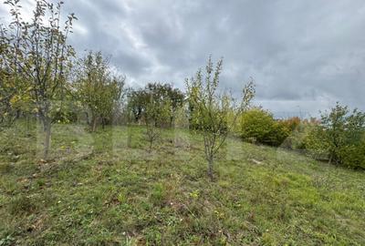 Teren de 1200 mp, în Zăvoi - 3