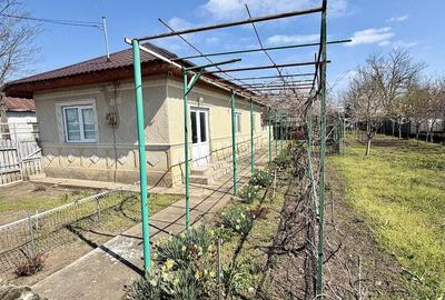 Casă cu 5 camere cu Teren 1613 Mp în Dor Mărunt - 4