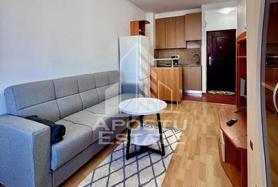 Apartament cu 2 camere în Șega - 2