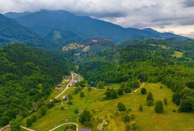 Teren Parcul National Bucegi/Str Glajarie Rau Mare/Panicel/Sohodol - 3