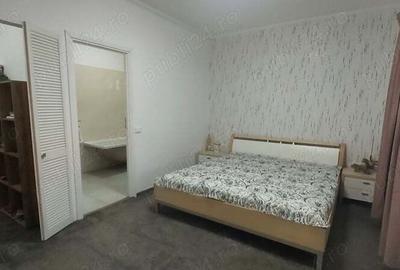 Proprietar vand casa Peciu nou 20 km de Timisoara - 9