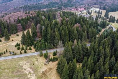 Teren de 1000 mp, în Poiana Brașov - 7