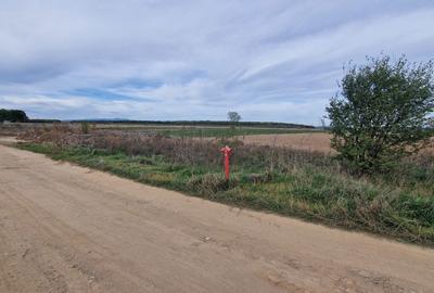 Teren de 6796 mp, în Priseaca - 2