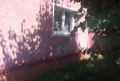 Casă cu 2 camere în Odvoș - 1