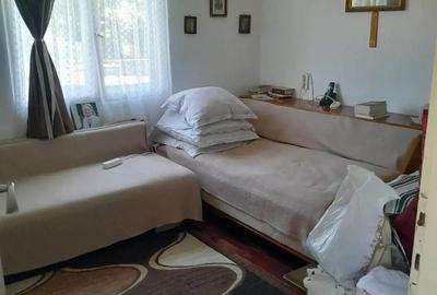 Casa Breaza central cu un mare cire? alb pentru dulcea?a! - 6