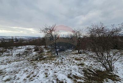 Teren 10,000mp Rada?eni / ?oseaua DN2-E85, jude?ul S... - 10