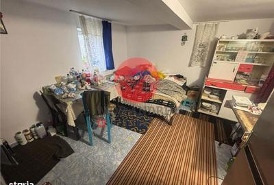 Casă cu 4 camere cu Teren 4489 Mp în Murighiol - 10