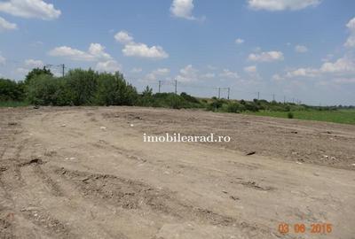 Teren construcție, în Sânnicolau Mic - 8