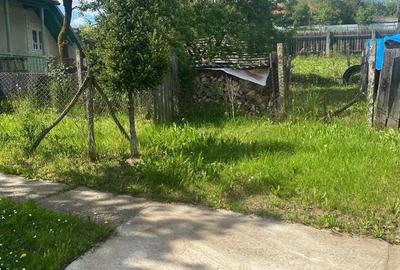 Casă cu Teren 1363 Mp în Siliștea - 4