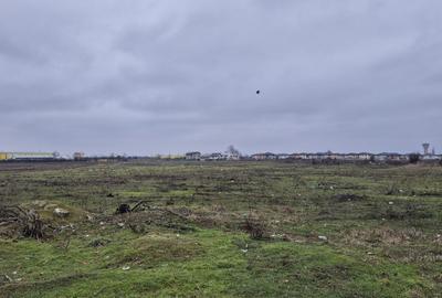 Teren intravilan 31497 mp - Chitila zona industriala de hale - 3