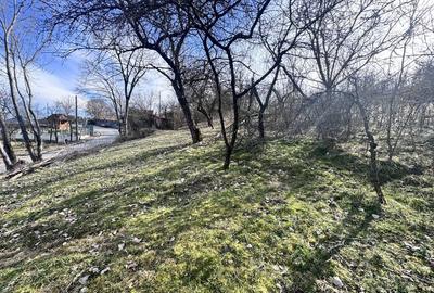 Spațiu comercial, în Central - 2