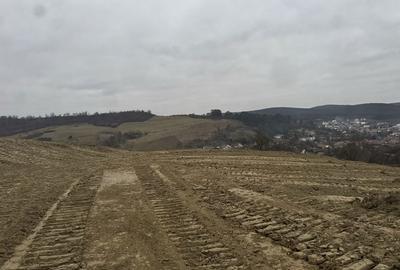 Teren de 1000 mp, în Livezeni - 6