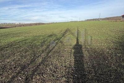 Teren de 14400 mp, în Aroneanu - 4