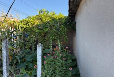 Casă cu 3 camere în Exterior Vest