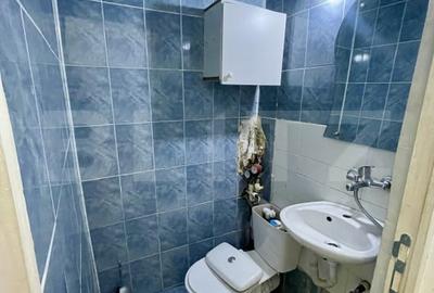 Grasoniera cu o camera - Parter - Burdujeni - 2