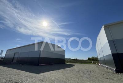 Hala industriala de vanzare 528 mp utili zona Vest a Sibiulu - 7