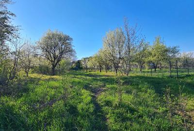 Casă cu 2 camere în Ceanu Mic - 1