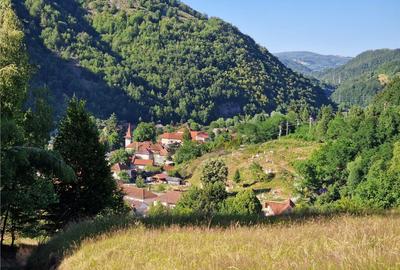 RECO teren extravilan Remeti - 1