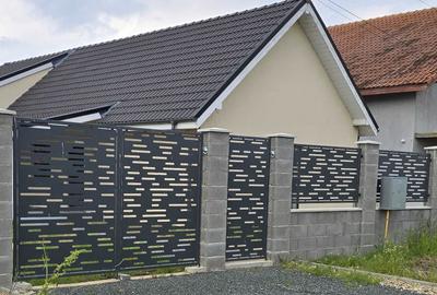 Casă cu 3 camere în Săcălaz - 1