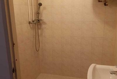 Arad - Spatiu comercial pe Metianu, parter plus etaj - 7