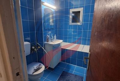 Apartament cu 2 camere semidecomandat, mobilat în Craiovița Nouă - 11