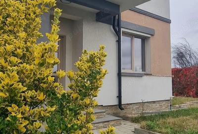 Vand vila duplex,Tancodrom, Pitesti. Se vind individual sau tot duplexul - 17