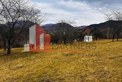 Teren 937 mp Bran/ Sohodol - 6