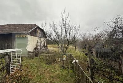 Casă cu 4 camere cu Teren 3000 Mp în Cășeiu - 3