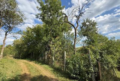 Teren de 400 mp, în Central - 7