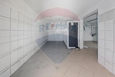 Spațiu comercial, de 207 mp, în Mioriței - 3